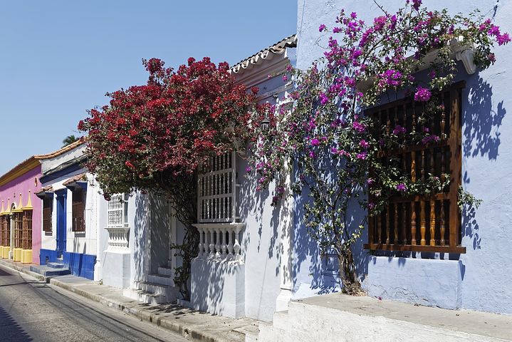 The streets of Cartagena are filled with gorgeous flowers like this photo